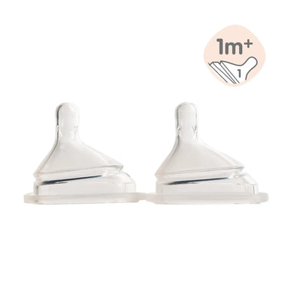 Hegen Nipple Slow Flow, 2-Pack (1 to 3 months)
