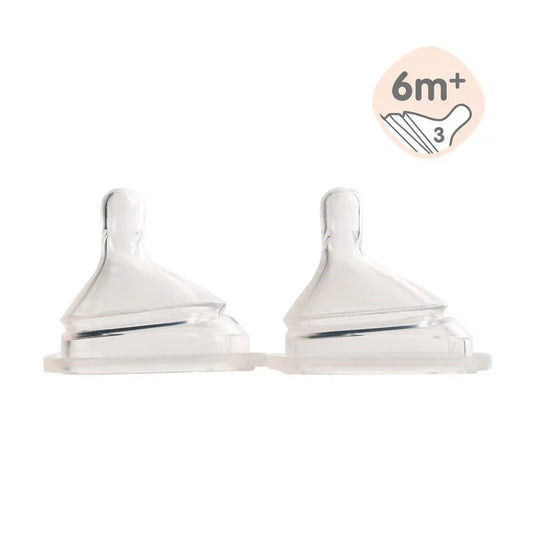 Hegen Nipple Fast Flow, 2-Pack (6 months and beyond)